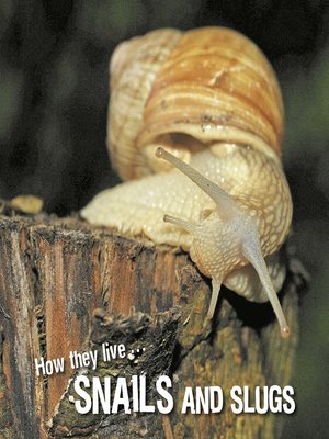 cover image of How they live... Snails and Slugs